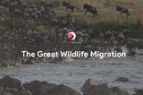 The Great Wildlife Migration