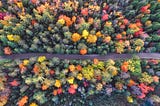 Design Seasons: Navigating the Ebbs and Flows of a Design Career
