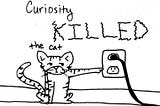 Curiosity Didn’t Kill The Cat