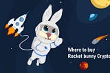 Where to buy rocket bunny Crypto?