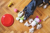 A Timely (sorta) Dog Gift Guide