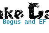 What is Bogus?