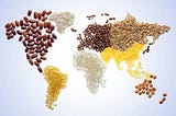 Food Security, Global Responsibility