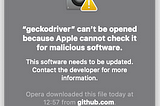 How to allow executing Geckodriver and Chromedriver in Big Sur