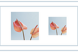 Guide: How to Compress Image Size Online for Free