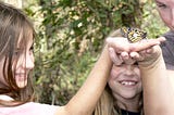 Teaching Monarch Butterflies to Play Dead