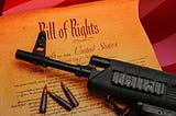 Practical Viewpoints on Gun Control Arguments