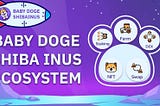 Exploring Shiba Doge Shiba INUS Ecosystem