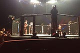 My First Live MMA Fight: Three Observations