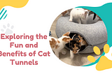 Exploring the Fun and Benefits of Cat Tunnels