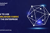 How to use Hyperledger Fabric for the enterprise