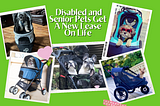 How Pet Strollers Give Disabled and Senior Pets A New Lease On Life