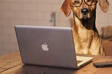 8 Steps to Get You Blogging Like a Top Dog in Your Niche