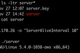 Aw Jeez, here we go again trying to run a web server on AWS with HTTPS