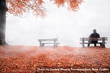 Man On Bench Shrouded By Mist In Autumn Decor by Daniela Simona Temneanu from NounProject.com