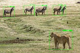 Understanding mean Average Precision for Object Detection (with Python Code)