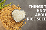 Things to know about rice seeds
