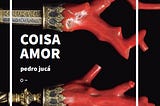 As provocações do sujeito em Coisa amor, de Pedro Jucá.