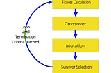 Genetic Algorithm for Hyper-Parameter Tuning