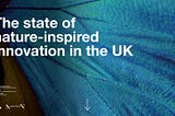 The State of Nature-Inspired Innovation in the UK