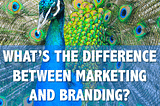 What’s the difference between marketing versus branding?