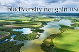 In the UK, Biodiversity Net Gain (BNG) payments have emerged as an income stream for landowners…