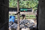Di antara yang terbuang