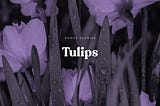 Tulips