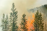 Hard-hit educators testify on wildfire response and recovery