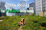 Green Roofs — The Future of a Greener & More Peaceful City — Taipei — Taiwan