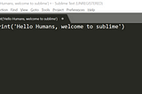 How to run python codes in sublime text editor