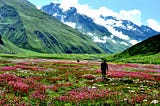 Trek to the amazing valley of flowers