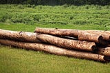9 Logging best practices