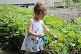 take care of your garden — dlm3
