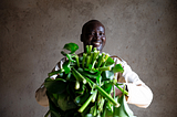 Turning water hyacinth into hand sanitiser to help protect people in Kenya