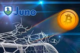 We would like to remind you that the Pre-sale of the JUNO project is underway!