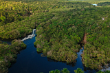 Amazon forest photo by Phaelnogueira on Canva: https://www.canva.com/photos/MAFmRE99MSM-aerial-view-of-the-amazon-rainforest-in-brazil