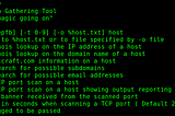 K@li Linux Information Gathering Tool {demitry}