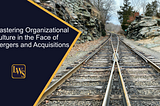Mastering Organizational Culture in the Face of Mergers and Acquisitions