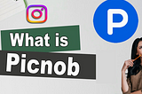 What is Picnob