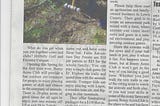 Local Print Campaign fails Expectations