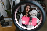 7 More Free Websites Every Content Creator Needs to Know