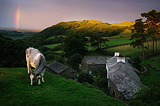 Pastoral Sunrise, Lake District, England