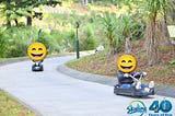 Rotorua for Kids with Fun, Culture, and Nature (Day 4)