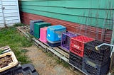 Plastic crates and storage bins are stacked along the side of a building with green and red siding. The area is surrounded by grass and appears to be part of a garden or outdoor storage space.