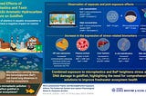 National Korea Maritime and Ocean University Researchers Explore the Impact of Microplastics and…