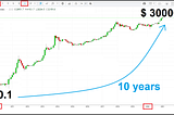 BITCOIN — Top investment of the decade, turned $1 into $ 300,000.