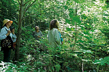 Indigenous Forest Gardening