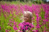 A little blonde haired girl stands in a field of fuschia colored flowers during May. Her eyes are closed and she is dreaming into reality. Every day is a heyday for her with her child’s eye view of the world and innocent wisdom.