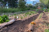 A large garden plot with flowers and vegetables growing.